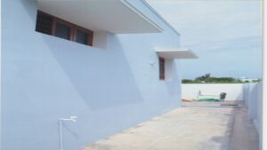 Deivaanai nagar-Reddiarpatti Tirunelveli-5